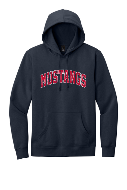 Collegiate Distressed Hoodie